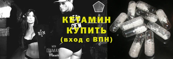 мет Алексин