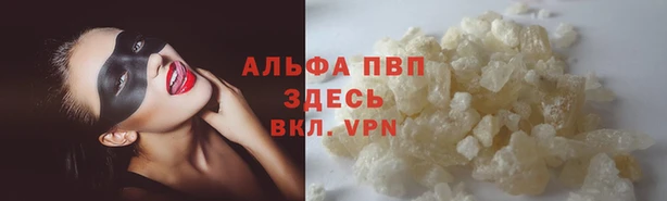 скорость Алзамай