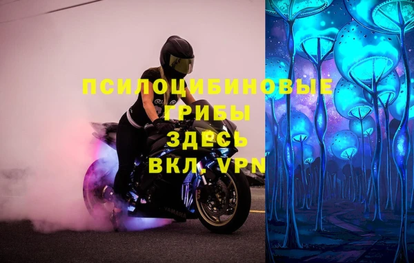 мет Алексин