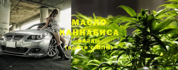 мет Алексин