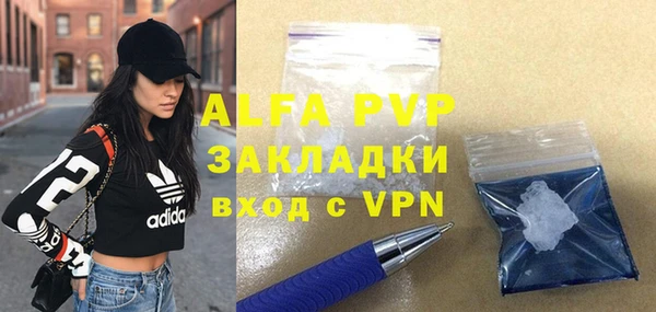 мет Алексин