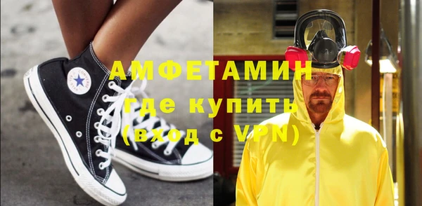 мет Алексин