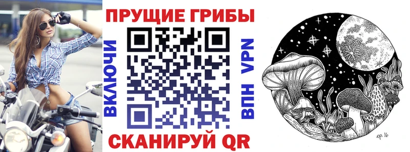 Галлюциногенные грибы ЛСД  Отрадная 